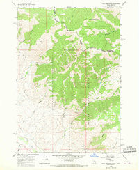 Goat Mountain Idaho Historical topographic map, 1:24000 scale, 7.5 X 7.5 Minute, Year 1965