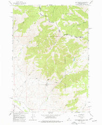 Goat Mountain Idaho Historical topographic map, 1:24000 scale, 7.5 X 7.5 Minute, Year 1965