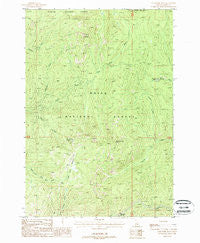 Gold Fork Rock Idaho Historical topographic map, 1:24000 scale, 7.5 X 7.5 Minute, Year 1988