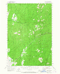 Gold Fork Idaho Historical topographic map, 1:62500 scale, 15 X 15 Minute, Year 1954