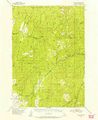 Gold Fork Idaho Historical topographic map, 1:62500 scale, 15 X 15 Minute, Year 1954