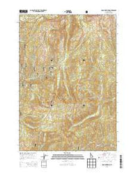 Gold Fork Rock Idaho Current topographic map, 1:24000 scale, 7.5 X 7.5 Minute, Year 2013