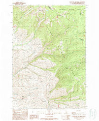 Goldstone Mtn Idaho Historical topographic map, 1:24000 scale, 7.5 X 7.5 Minute, Year 1989