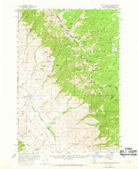 Goldstone Mtn Idaho Historical topographic map, 1:62500 scale, 15 X 15 Minute, Year 1956