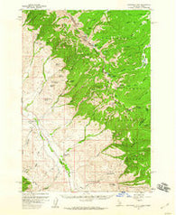 Goldstone Mtn Idaho Historical topographic map, 1:62500 scale, 15 X 15 Minute, Year 1956