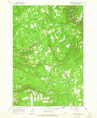 Goodwin Meadows Idaho Historical topographic map, 1:24000 scale, 7.5 X 7.5 Minute, Year 1963