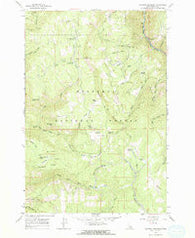 Goodwin Meadows Idaho Historical topographic map, 1:24000 scale, 7.5 X 7.5 Minute, Year 1963