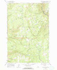 Goodwin Meadows Idaho Historical topographic map, 1:24000 scale, 7.5 X 7.5 Minute, Year 1963