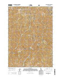 Grand Mountain Idaho Current topographic map, 1:24000 scale, 7.5 X 7.5 Minute, Year 2013