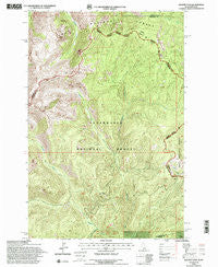 Granite Pass Idaho Historical topographic map, 1:24000 scale, 7.5 X 7.5 Minute, Year 1994