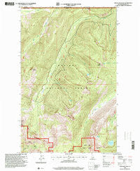 Grass Mountain Idaho Historical topographic map, 1:24000 scale, 7.5 X 7.5 Minute, Year 1996