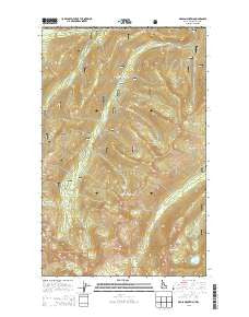 Grass Mountain Idaho Current topographic map, 1:24000 scale, 7.5 X 7.5 Minute, Year 2013