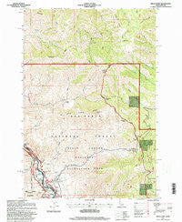 Grave Point Idaho Historical topographic map, 1:24000 scale, 7.5 X 7.5 Minute, Year 1995
