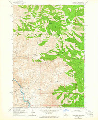 Grave Point Idaho Historical topographic map, 1:24000 scale, 7.5 X 7.5 Minute, Year 1963