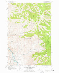 Grave Point Idaho Historical topographic map, 1:24000 scale, 7.5 X 7.5 Minute, Year 1963