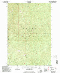 Green Mountain Idaho Historical topographic map, 1:24000 scale, 7.5 X 7.5 Minute, Year 1995
