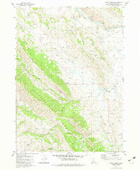 Grizzly Creek Idaho Historical topographic map, 1:24000 scale, 7.5 X 7.5 Minute, Year 1981