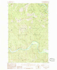 Grizzly Mountain Idaho Historical topographic map, 1:24000 scale, 7.5 X 7.5 Minute, Year 1985