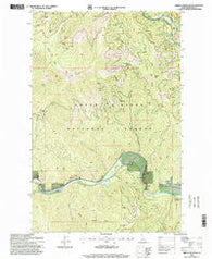 Grizzly Mountain Idaho Historical topographic map, 1:24000 scale, 7.5 X 7.5 Minute, Year 1996