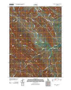 Grizzly Creek Idaho Historical topographic map, 1:24000 scale, 7.5 X 7.5 Minute, Year 2010