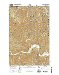 Grizzly Mountain Idaho Current topographic map, 1:24000 scale, 7.5 X 7.5 Minute, Year 2013