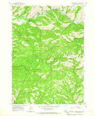 Grouse Butte Idaho Historical topographic map, 1:24000 scale, 7.5 X 7.5 Minute, Year 1964