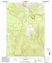 Hanover Mountain Idaho Historical topographic map, 1:24000 scale, 7.5 X 7.5 Minute, Year 1995