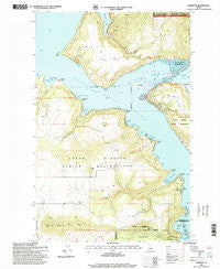 Harrison Idaho Historical topographic map, 1:24000 scale, 7.5 X 7.5 Minute, Year 1996