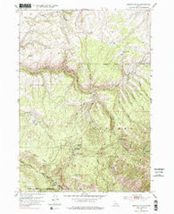 Hawley Gulch Idaho Historical topographic map, 1:24000 scale, 7.5 X 7.5 Minute, Year 1951