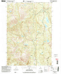 Hazard Lake Idaho Historical topographic map, 1:24000 scale, 7.5 X 7.5 Minute, Year 2004