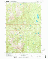 Hazard Lake Idaho Historical topographic map, 1:24000 scale, 7.5 X 7.5 Minute, Year 1963