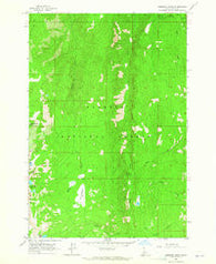 Hershey Point Idaho Historical topographic map, 1:24000 scale, 7.5 X 7.5 Minute, Year 1963