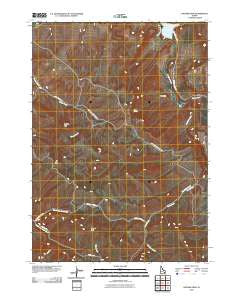 Higham Peak Idaho Historical topographic map, 1:24000 scale, 7.5 X 7.5 Minute, Year 2010