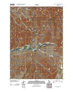 Hog Cove Butte Idaho Historical topographic map, 1:24000 scale, 7.5 X 7.5 Minute, Year 2010