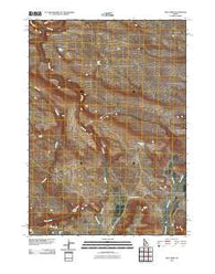 Hog Creek Idaho Historical topographic map, 1:24000 scale, 7.5 X 7.5 Minute, Year 2010
