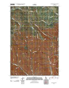 Hoover Point Idaho Historical topographic map, 1:24000 scale, 7.5 X 7.5 Minute, Year 2010