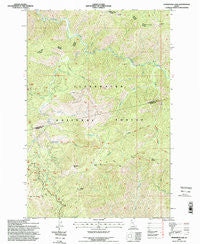 Horseshoe Lake Idaho Historical topographic map, 1:24000 scale, 7.5 X 7.5 Minute, Year 1994