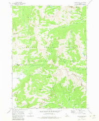 Horton Peak Idaho Historical topographic map, 1:24000 scale, 7.5 X 7.5 Minute, Year 1970