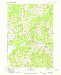 Horton Peak Idaho Historical topographic map, 1:24000 scale, 7.5 X 7.5 Minute, Year 1970