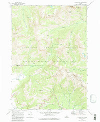 Horton Peak Idaho Historical topographic map, 1:24000 scale, 7.5 X 7.5 Minute, Year 1970