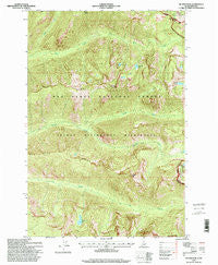 Hunter Peak Idaho Historical topographic map, 1:24000 scale, 7.5 X 7.5 Minute, Year 1995
