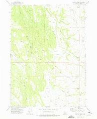 Hurry Up Creek Idaho Historical topographic map, 1:24000 scale, 7.5 X 7.5 Minute, Year 1973