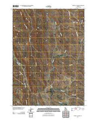 Hurry Up Creek Idaho Historical topographic map, 1:24000 scale, 7.5 X 7.5 Minute, Year 2010