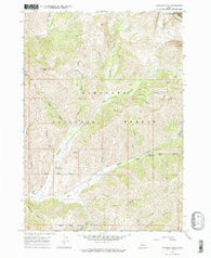 Hyndman Peak Idaho Historical topographic map, 1:24000 scale, 7.5 X 7.5 Minute, Year 1967