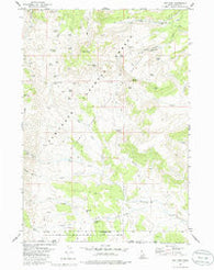Ibex Peak Idaho Historical topographic map, 1:24000 scale, 7.5 X 7.5 Minute, Year 1977