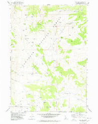 Ibex Peak Idaho Historical topographic map, 1:24000 scale, 7.5 X 7.5 Minute, Year 1977