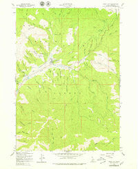 Idaho City Idaho Historical topographic map, 1:24000 scale, 7.5 X 7.5 Minute, Year 1957