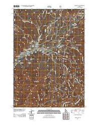 Idaho City Idaho Historical topographic map, 1:24000 scale, 7.5 X 7.5 Minute, Year 2011