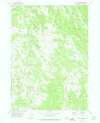 Indian Meadows Idaho Historical topographic map, 1:24000 scale, 7.5 X 7.5 Minute, Year 1973