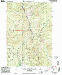 Indian Mountain Idaho Historical topographic map, 1:24000 scale, 7.5 X 7.5 Minute, Year 2004